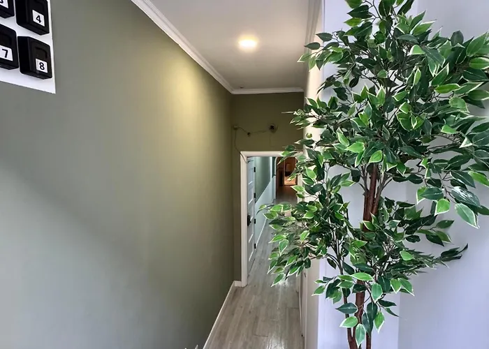 Better Choice Konukevi