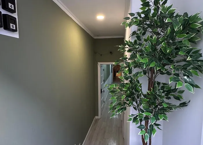 Konukevi Better Choice Lisboa