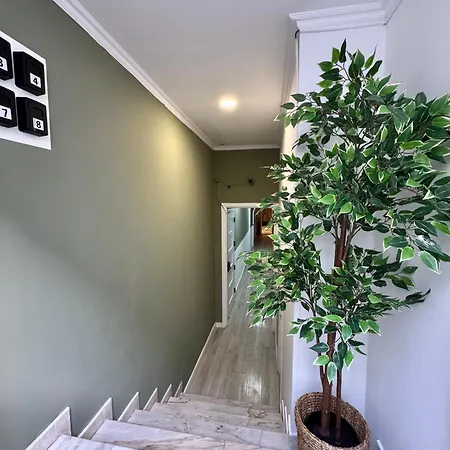 Better Choice Konukevi